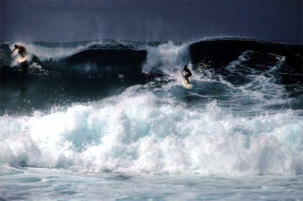 North Shore Surfing, Oahu
